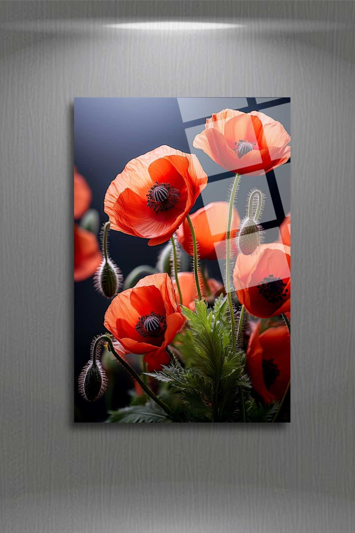 Gelincik Çiçekleri Cam Tablosu 273 - 30 x 45