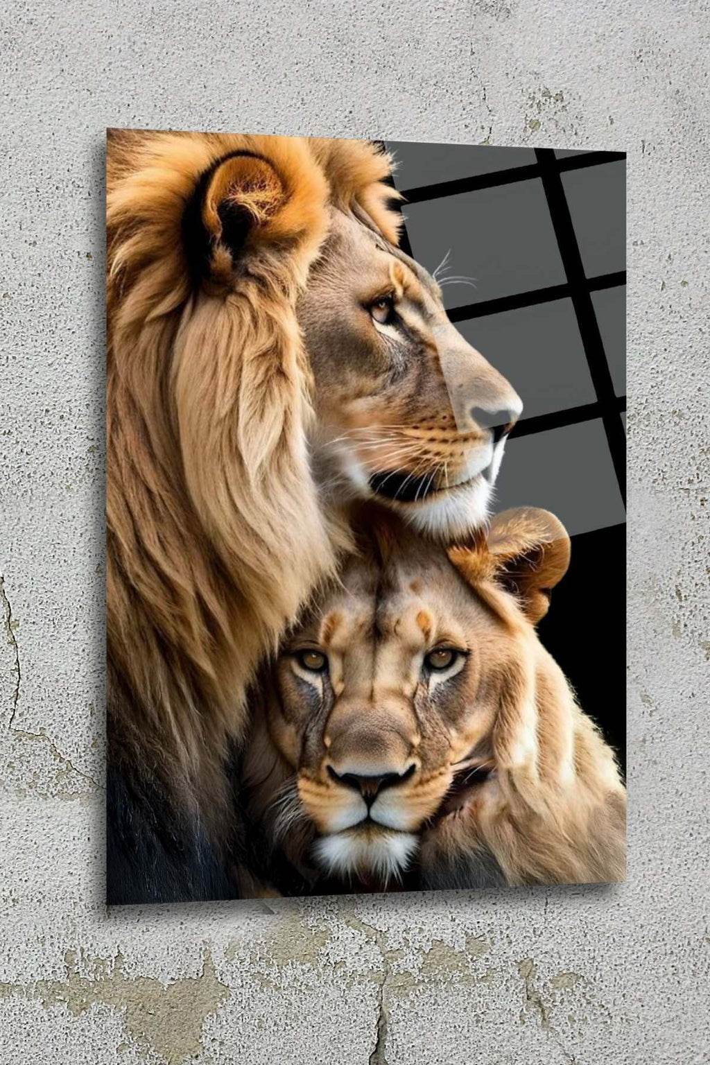 Dişi ve Erkek Aslan, Sevgili Aslan Ailesi Cam Tablo HMDS0333