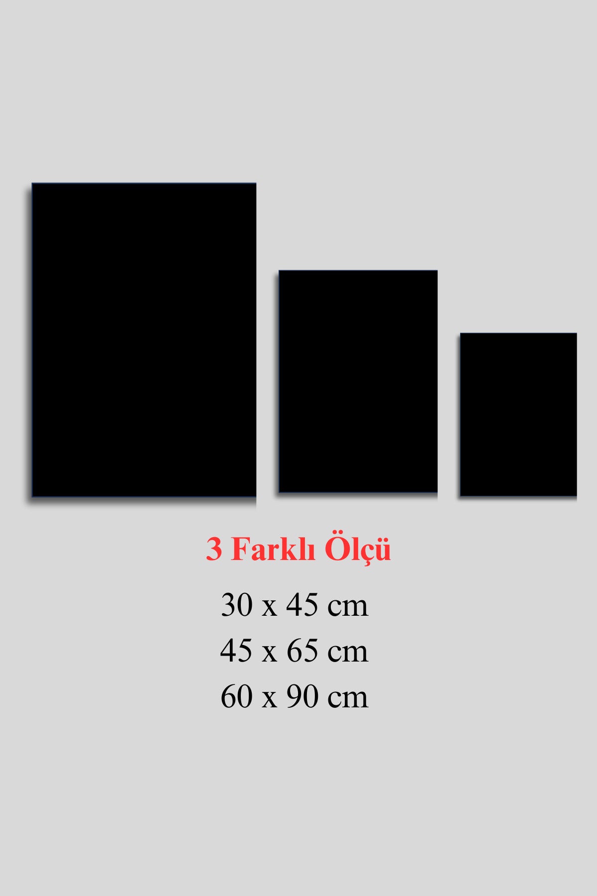 Atatürk Tablosu, Cam Tablo HMDS0481
